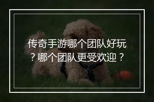 传奇手游哪个团队好玩？哪个团队更受欢迎？