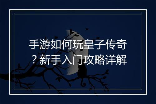 手游如何玩皇子传奇？新手入门攻略详解