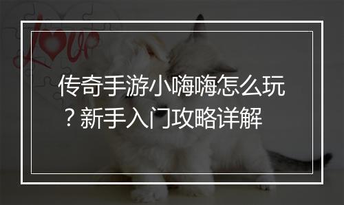 传奇手游小嗨嗨怎么玩？新手入门攻略详解
