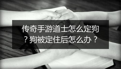 传奇手游道士怎么定狗？狗被定住后怎么办？