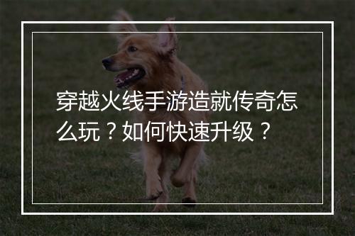穿越火线手游造就传奇怎么玩？如何快速升级？