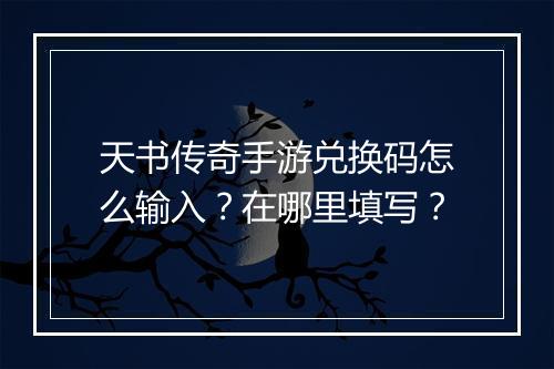 天书传奇手游兑换码怎么输入？在哪里填写？