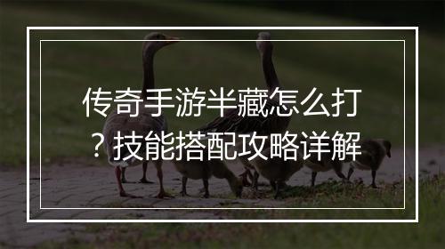 传奇手游半藏怎么打？技能搭配攻略详解