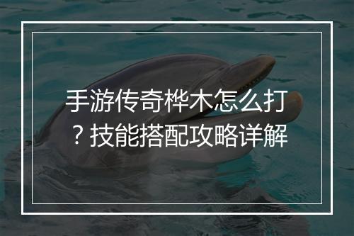手游传奇桦木怎么打？技能搭配攻略详解