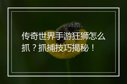 传奇世界手游狂狮怎么抓？抓捕技巧揭秘！
