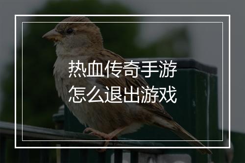 热血传奇手游怎么退出游戏