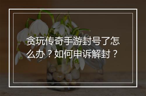 贪玩传奇手游封号了怎么办？如何申诉解封？