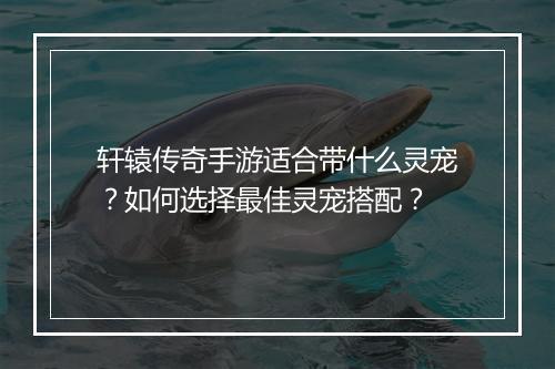 轩辕传奇手游适合带什么灵宠？如何选择最佳灵宠搭配？