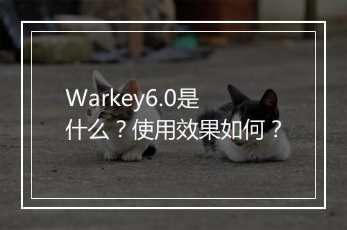 Warkey6.0是什么？使用效果如何？