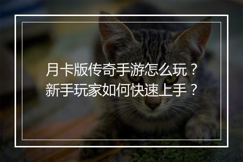 月卡版传奇手游怎么玩？新手玩家如何快速上手？