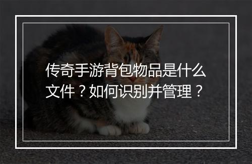 传奇手游背包物品是什么文件？如何识别并管理？