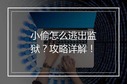 小偷怎么逃出监狱？攻略详解！