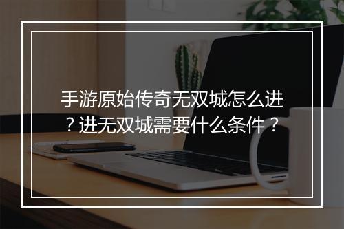 手游原始传奇无双城怎么进？进无双城需要什么条件？