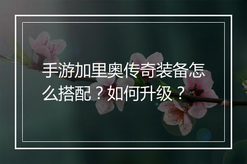 手游加里奥传奇装备怎么搭配？如何升级？