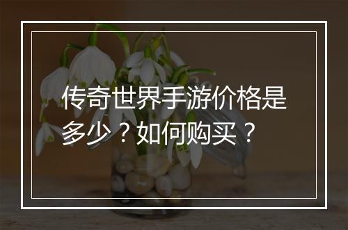 传奇世界手游价格是多少？如何购买？