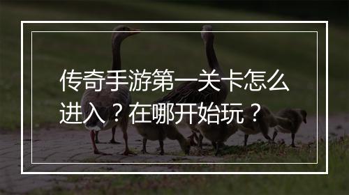 传奇手游第一关卡怎么进入？在哪开始玩？