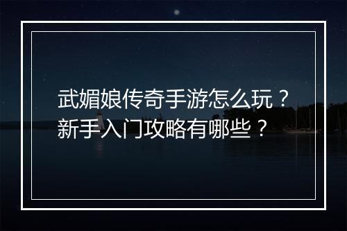 武媚娘传奇手游怎么玩?新手入门攻略有哪些?