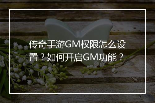 传奇手游GM权限怎么设置？如何开启GM功能？