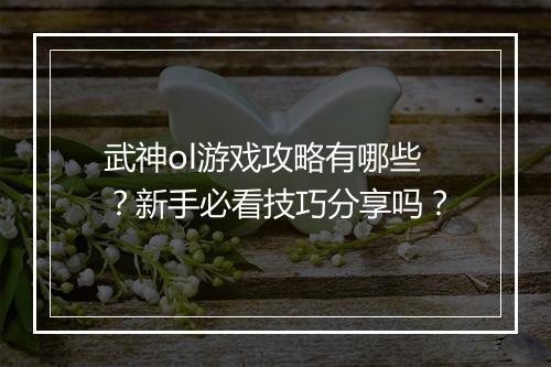 武神ol游戏攻略有哪些？新手必看技巧分享吗？