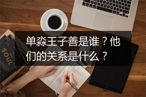 单淼王子善是谁？他们的关系是什么？