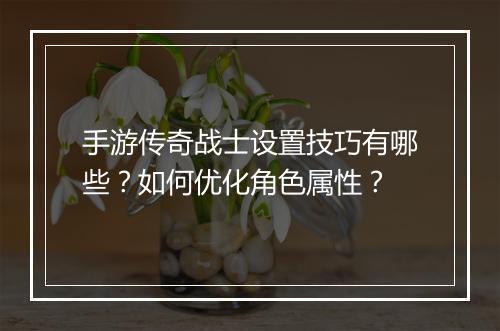 手游传奇战士设置技巧有哪些？如何优化角色属性？