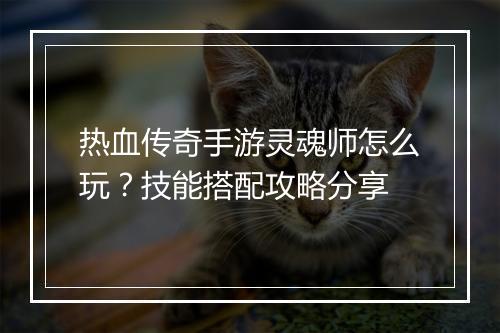 热血传奇手游灵魂师怎么玩？技能搭配攻略分享