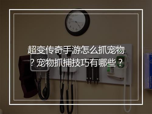 超变传奇手游怎么抓宠物？宠物抓捕技巧有哪些？