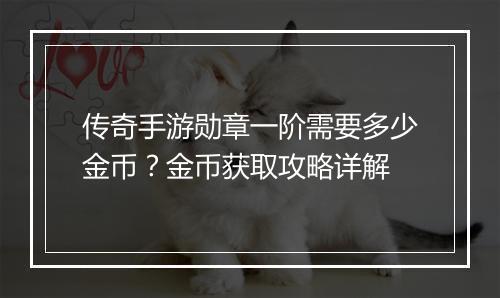 传奇手游勋章一阶需要多少金币？金币获取攻略详解