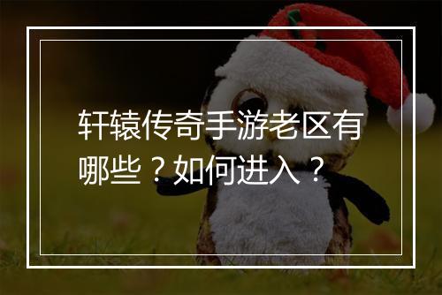 轩辕传奇手游老区有哪些？如何进入？