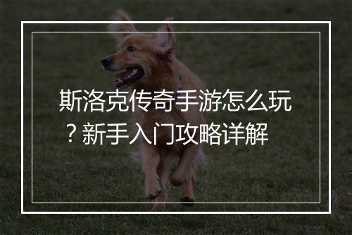斯洛克传奇手游怎么玩？新手入门攻略详解