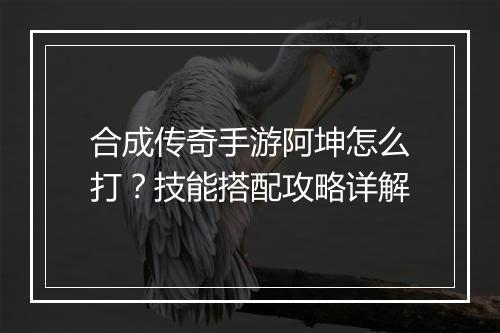合成传奇手游阿坤怎么打？技能搭配攻略详解