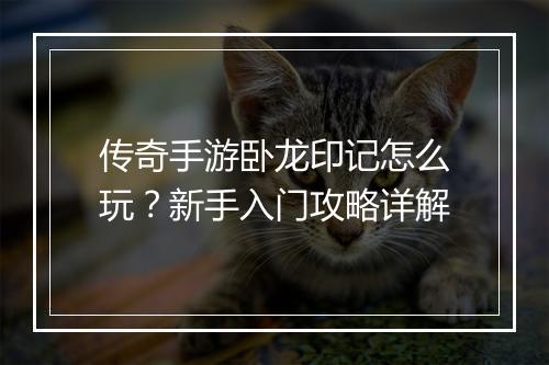 传奇手游卧龙印记怎么玩？新手入门攻略详解