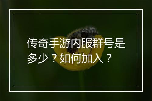 传奇手游内服群号是多少？如何加入？