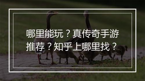 哪里能玩？真传奇手游推荐？知乎上哪里找？