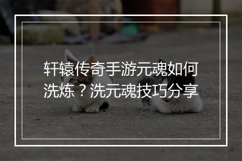 轩辕传奇手游元魂如何洗炼？洗元魂技巧分享