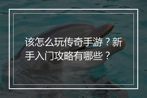 该怎么玩传奇手游？新手入门攻略有哪些？