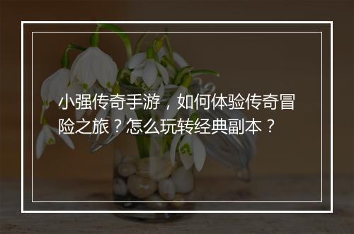 小强传奇手游，如何体验传奇冒险之旅？怎么玩转经典副本？
