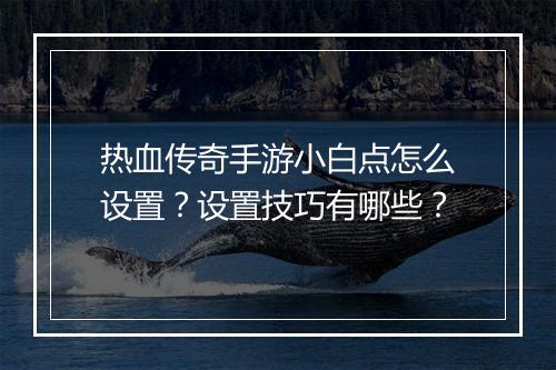 热血传奇手游小白点怎么设置？设置技巧有哪些？