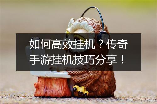 如何高效挂机？传奇手游挂机技巧分享！
