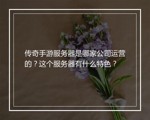 传奇手游服务器是哪家公司运营的？这个服务器有什么特色？