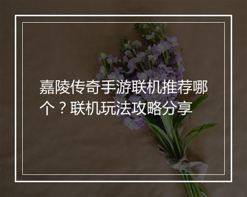 嘉陵传奇手游联机推荐哪个？联机玩法攻略分享