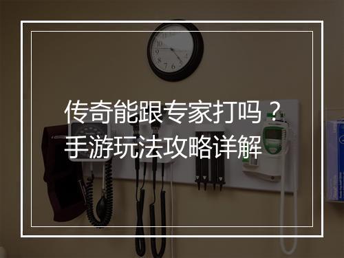 传奇能跟专家打吗？手游玩法攻略详解