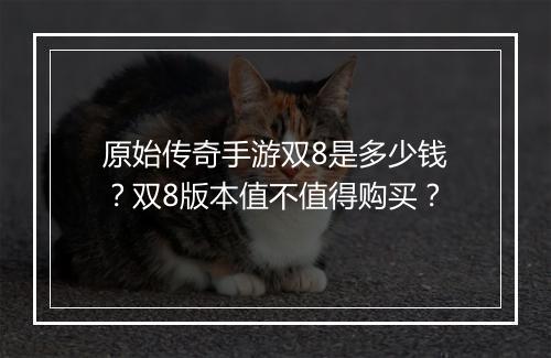 原始传奇手游双8是多少钱？双8版本值不值得购买？