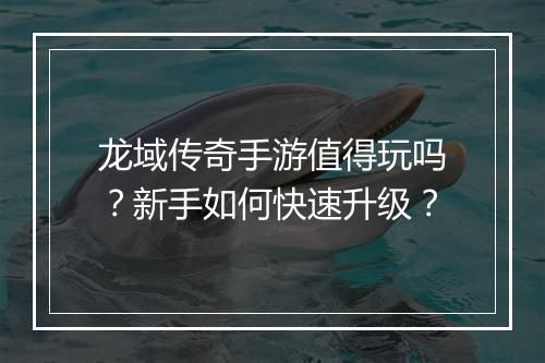 龙域传奇手游值得玩吗？新手如何快速升级？