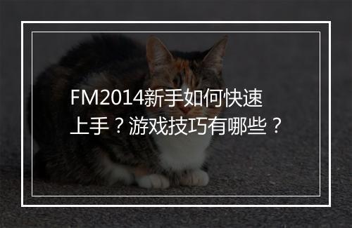 FM2014新手如何快速上手？游戏技巧有哪些？