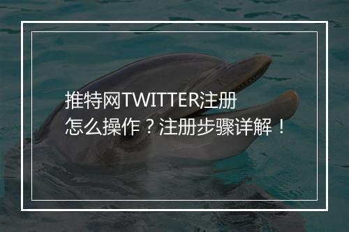推特网TWITTER注册怎么操作？注册步骤详解！