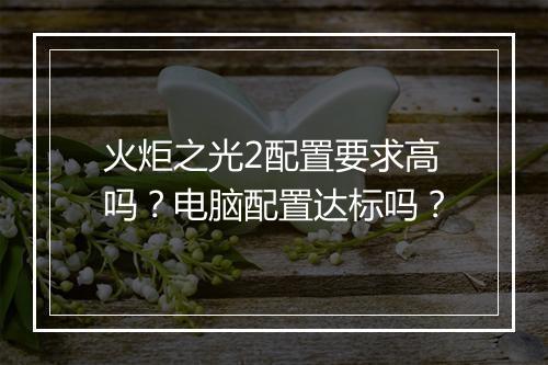火炬之光2配置要求高吗？电脑配置达标吗？