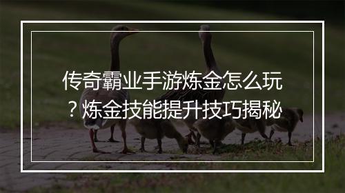传奇霸业手游炼金怎么玩？炼金技能提升技巧揭秘