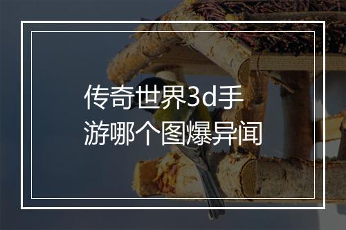 传奇世界3d手游哪个图爆异闻