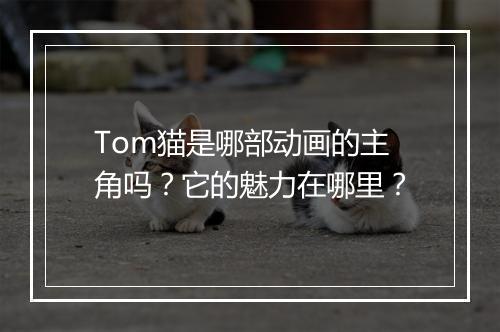 Tom猫是哪部动画的主角吗？它的魅力在哪里？